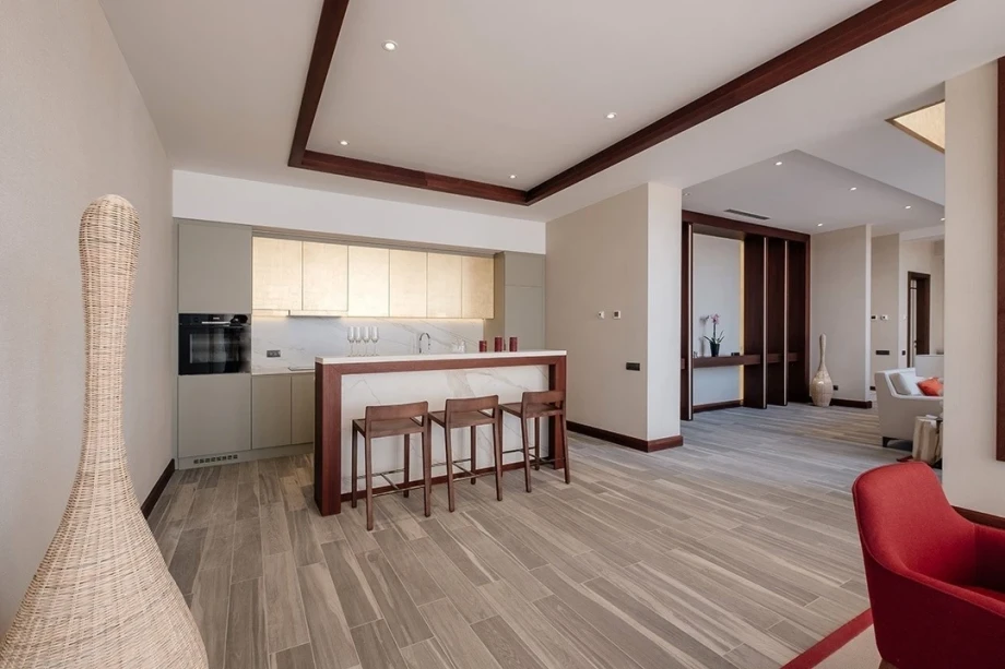 Sleek and Contemporary Modern Kitchen