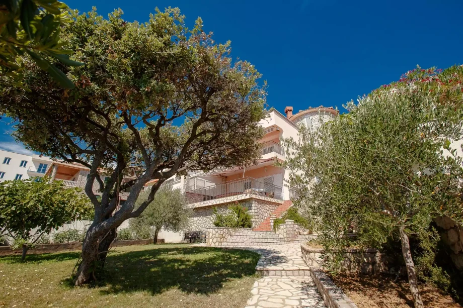 Lush Landscaping with Olive Trees Inside a Montenegro Villa Garden