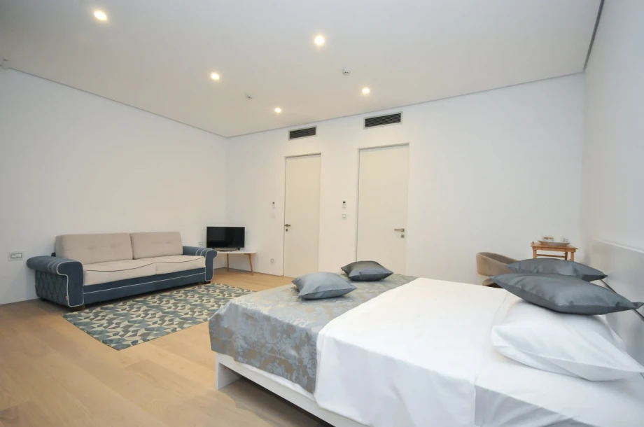 Spacious bedroom with sofa