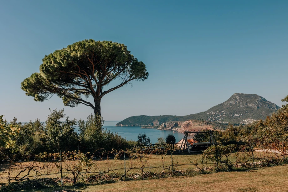 Breathtaking Sea View from Villa Andjelija