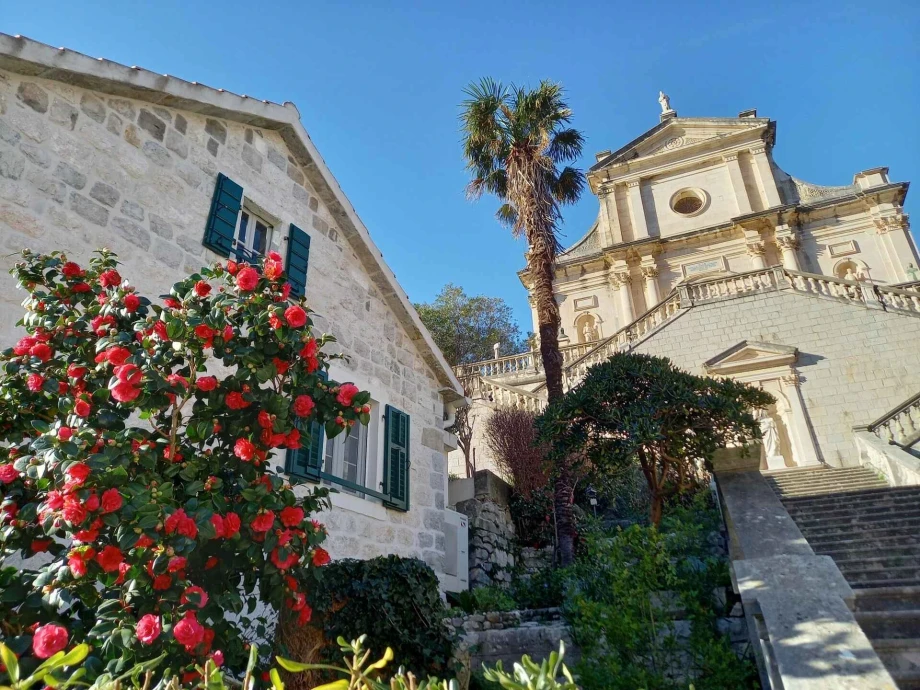 Luxuriant Plants Surrounding the Villa, Enhancing the Serene Montenegro Setting