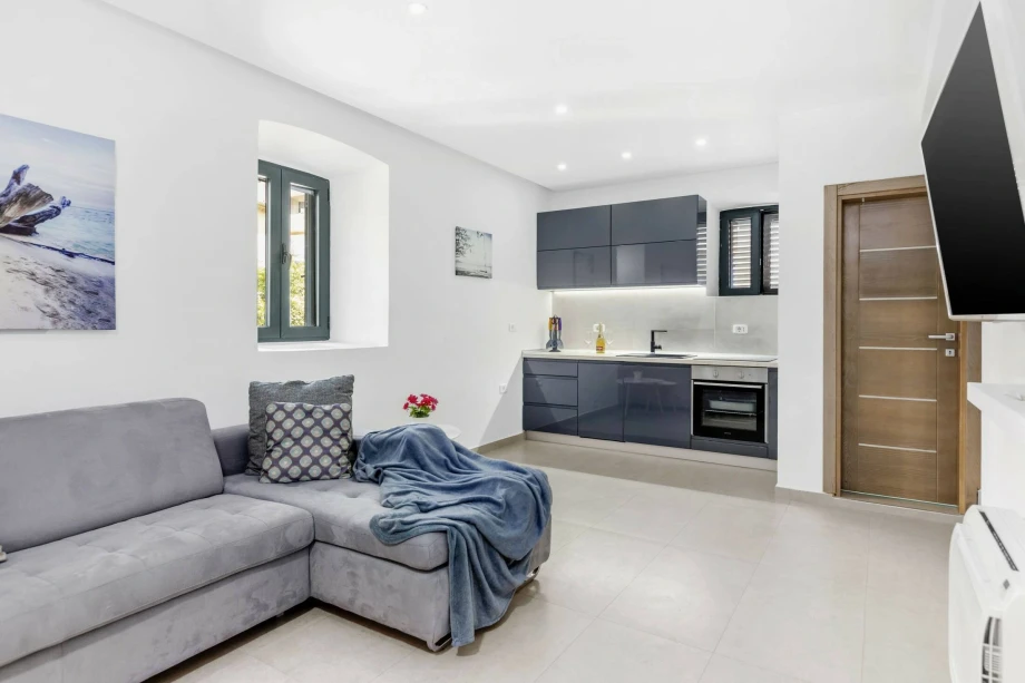 Spacious Living Room with Kitchen