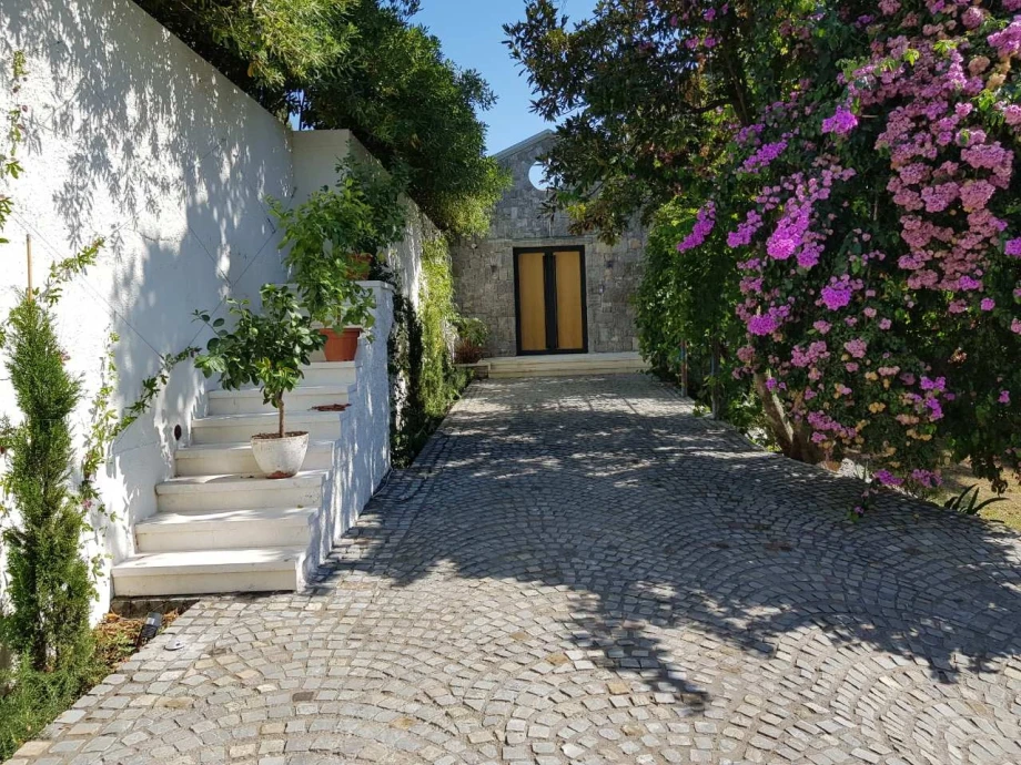 Tranquil Green Yard – A Serene