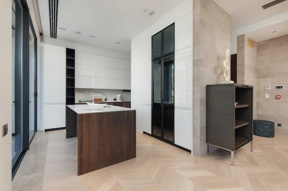 Sleek Modern Kitchen with High-End Finishes