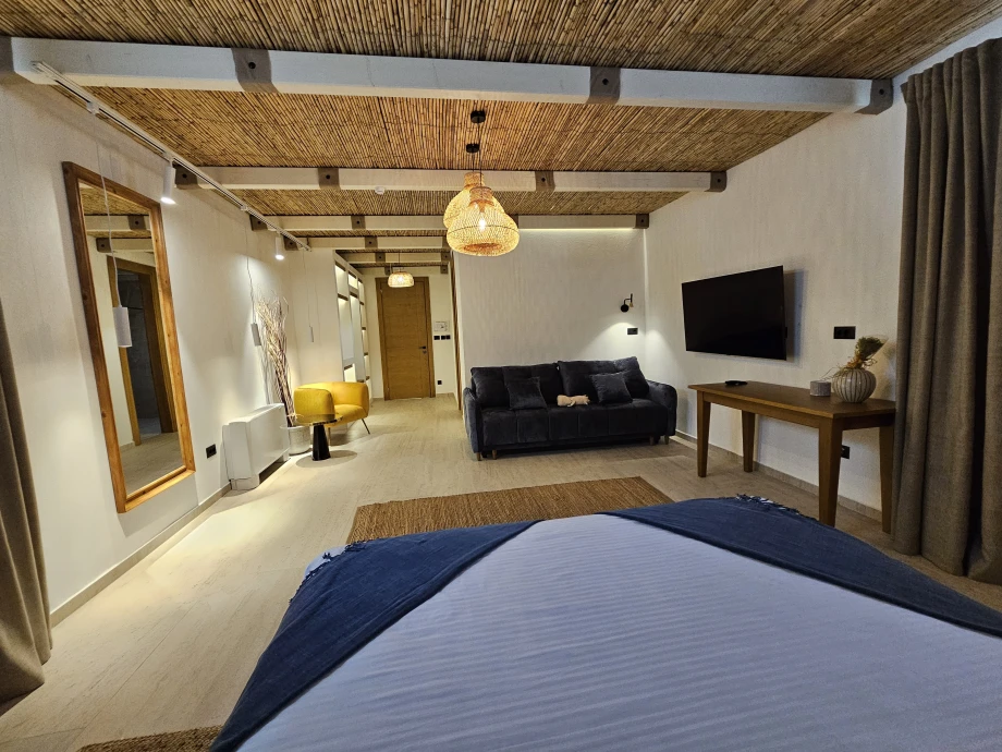 Spacious Room with Natural Light and Traditional Stone Elements in Montenegro Villa