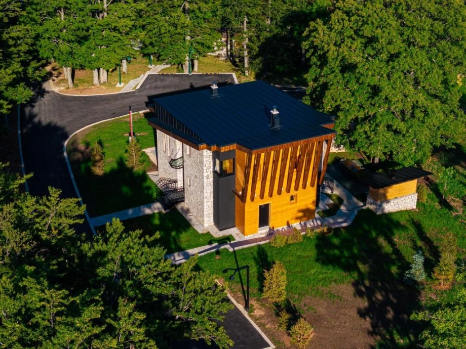 Embraced by Verdant Greenery