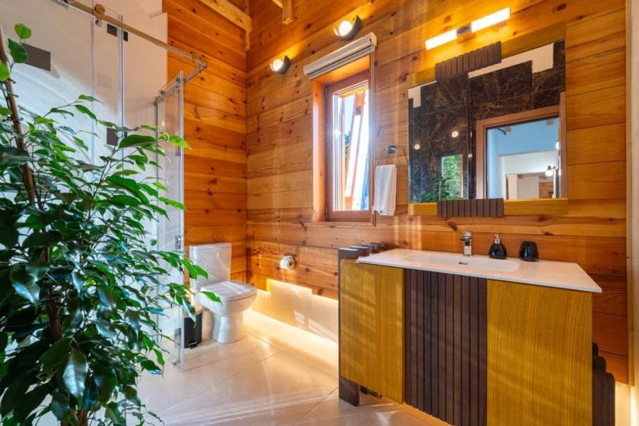 Modern Bathroom Design in Villa Alpinia, Montenegro