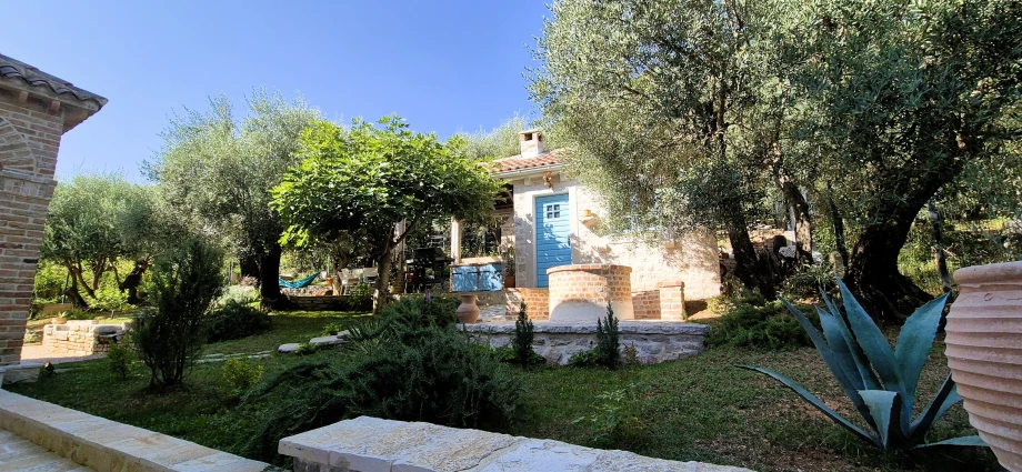 Private Garden with Olive Trees