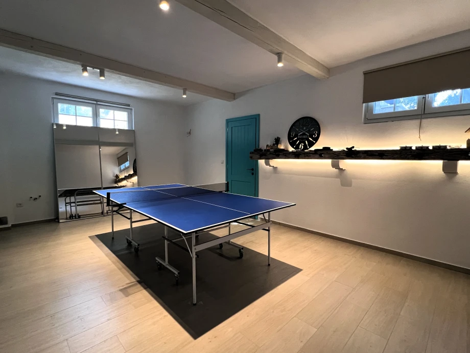 Table Tennis in the Game Room