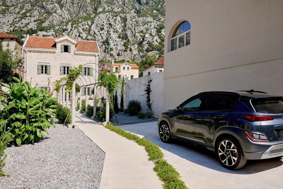 The Captain's Legacy