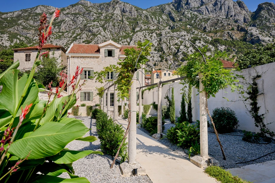 The Captain's Legacy