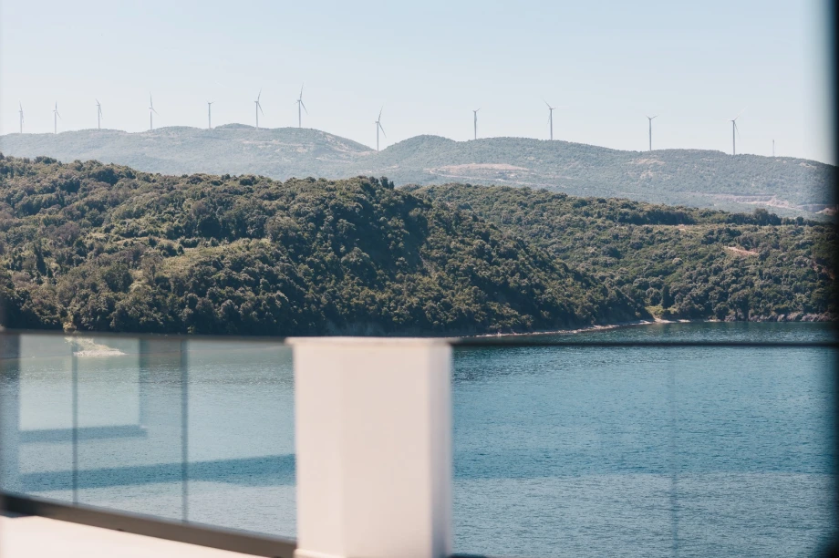 Where Nature Meets Innovation