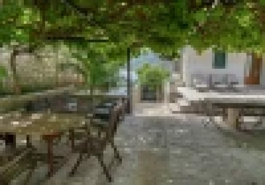 Al Fresco Dining Amidst Lush Vines